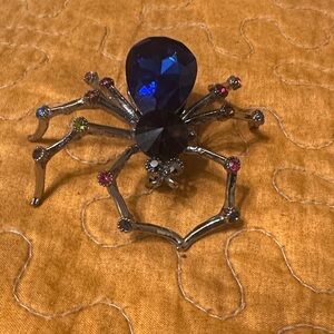 Elegant Blue and Silver Spider